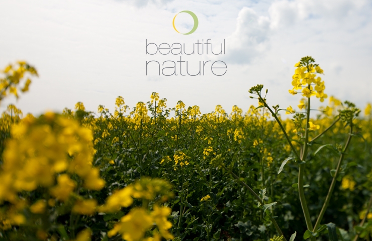 CNbnature1